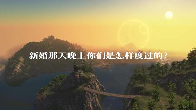 新婚那天晚上你们是怎样度过的?