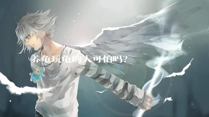 养龟玩龟的人可怕吗?
