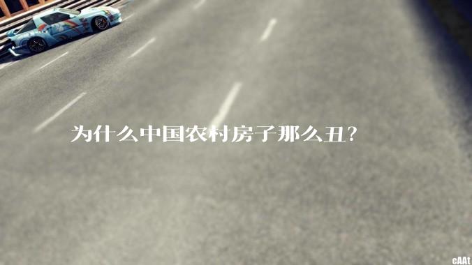 为什么中国农村房子那么丑?