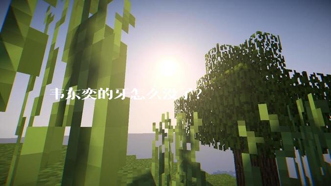 韦东奕的牙怎么没了?