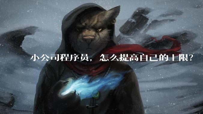 小公司程序员,怎么提高自己的上限?