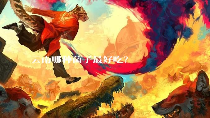 云南哪种菌子最好吃?