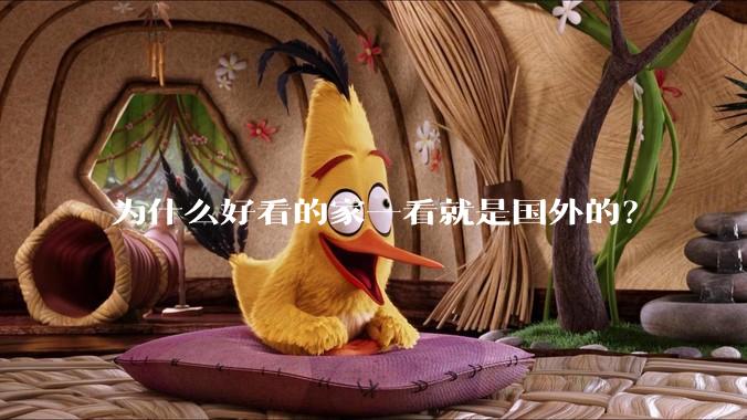 为什么好看的家一看就是国外的?