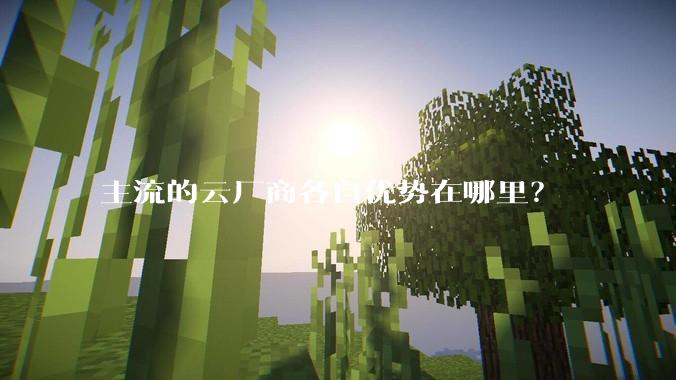 主流的云厂商各自优势在哪里?