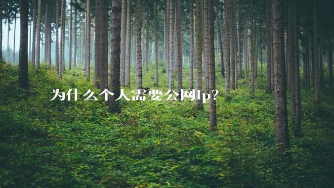 为什么个人需要公网ip?