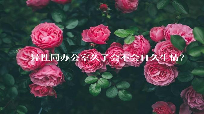 异性同办公室久了会不会日久生情?