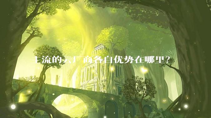 主流的云厂商各自优势在哪里?