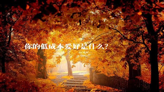 你的低成本爱好是什么?