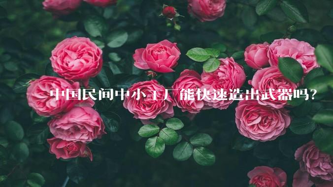 中国民间中小工厂能快速造出武器吗?