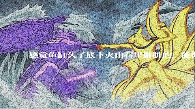 感觉鱼缸久了底下火山石里脏脏的,能彻底换水清理一遍不?