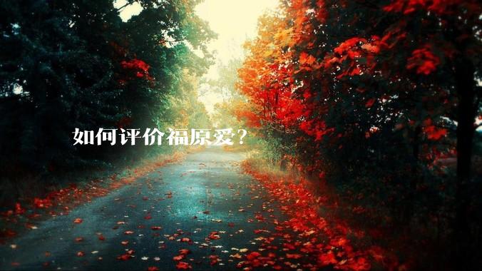 如何评价福原爱?