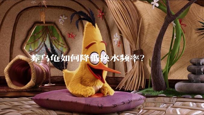 养乌龟如何降低换水频率?