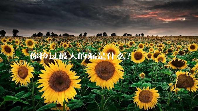 你捡过最大的漏是什么?