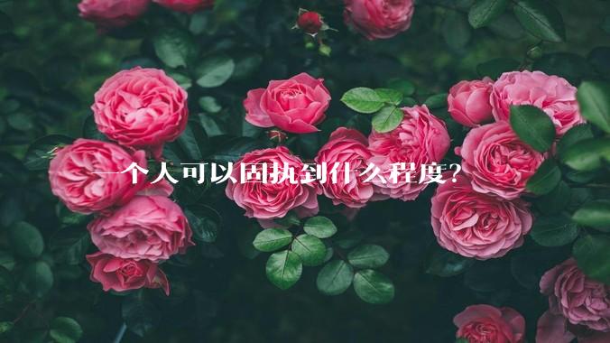一个人可以固执到什么程度?
