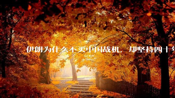 伊朗为什么不买中国战机,却坚持四十年用老旧的苏联米格29、美国F14雄猫战斗机?