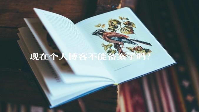 现在个人博客不能备案了吗?
