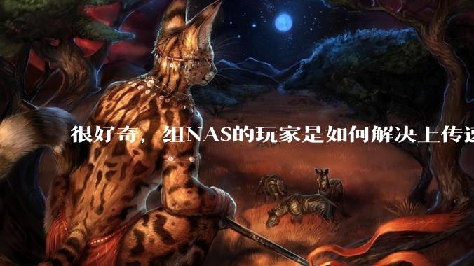 很好奇,组NAS的玩家是如何解决上传速率的问题?
