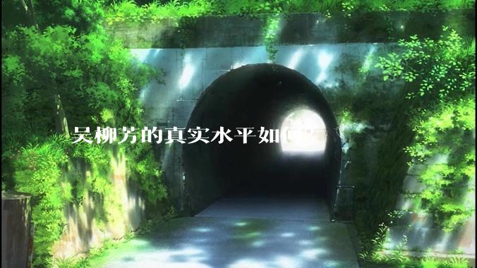 吴柳芳的真实水平如何?
