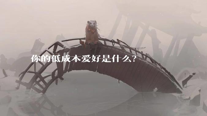 你的低成本爱好是什么?