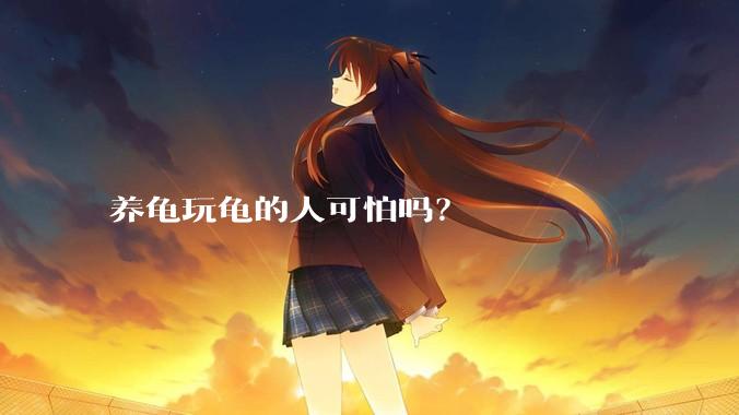 养龟玩龟的人可怕吗?