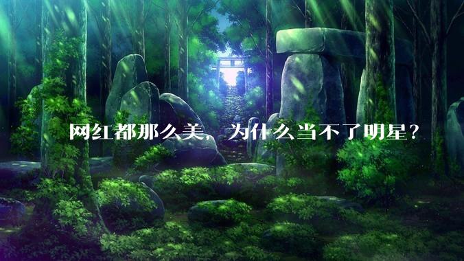 网红都那么美,为什么当不了明星?