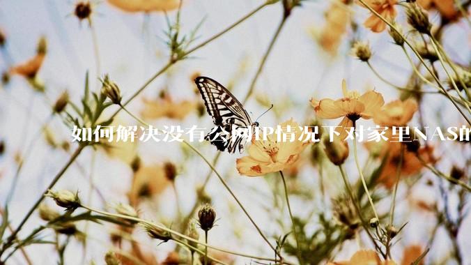 如何解决没有公网IP情况下对家里NAS的高速远程访问?