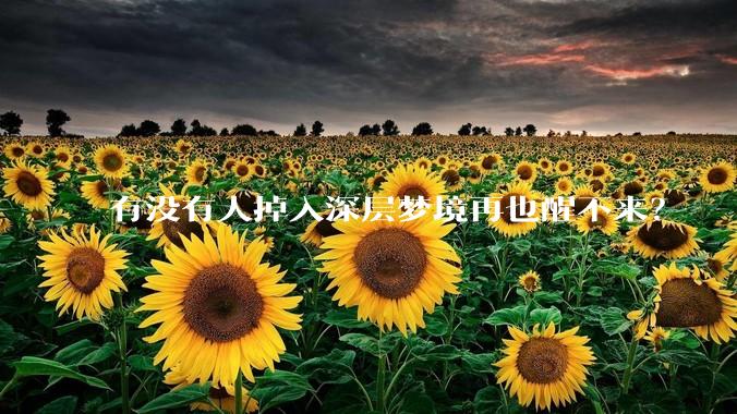 有没有人掉入深层梦境再也醒不来?