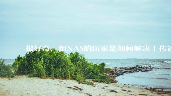 很好奇,组NAS的玩家是如何解决上传速率的问题?