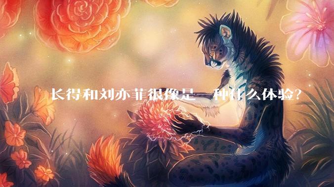 长得和刘亦菲很像是一种什么体验?