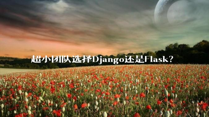 超小团队选择Django还是Flask?