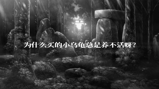 为什么买的小乌龟总是养不活呀?