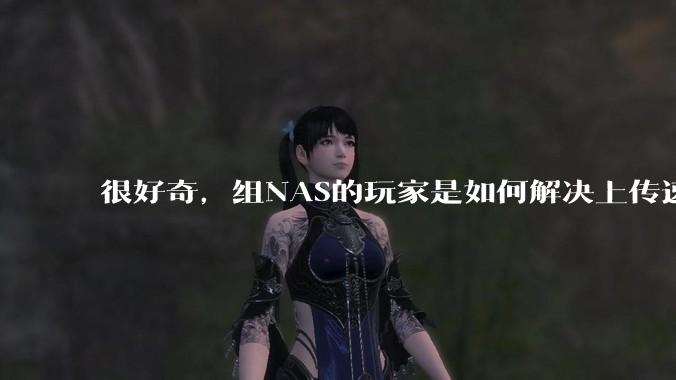 很好奇,组NAS的玩家是如何解决上传速率的问题?