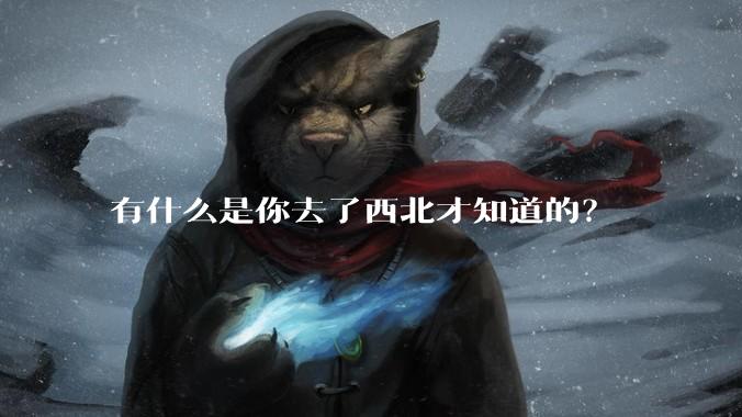 有什么是你去了西北才知道的?