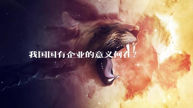 我国国有企业的意义何在?