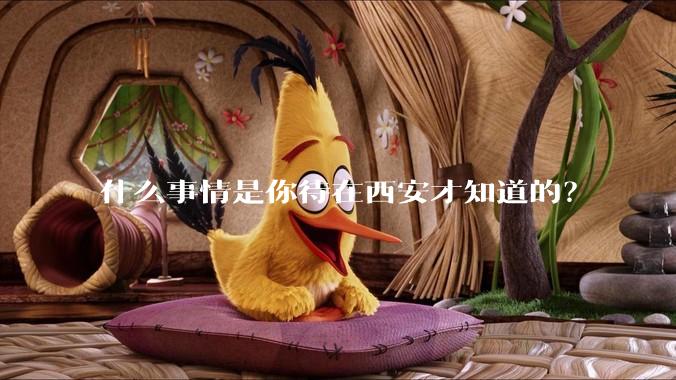 什么事情是你待在西安才知道的?