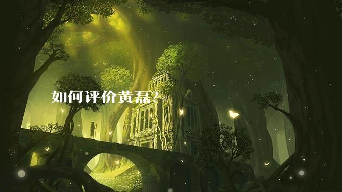 如何评价黄磊?