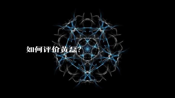 如何评价黄磊?